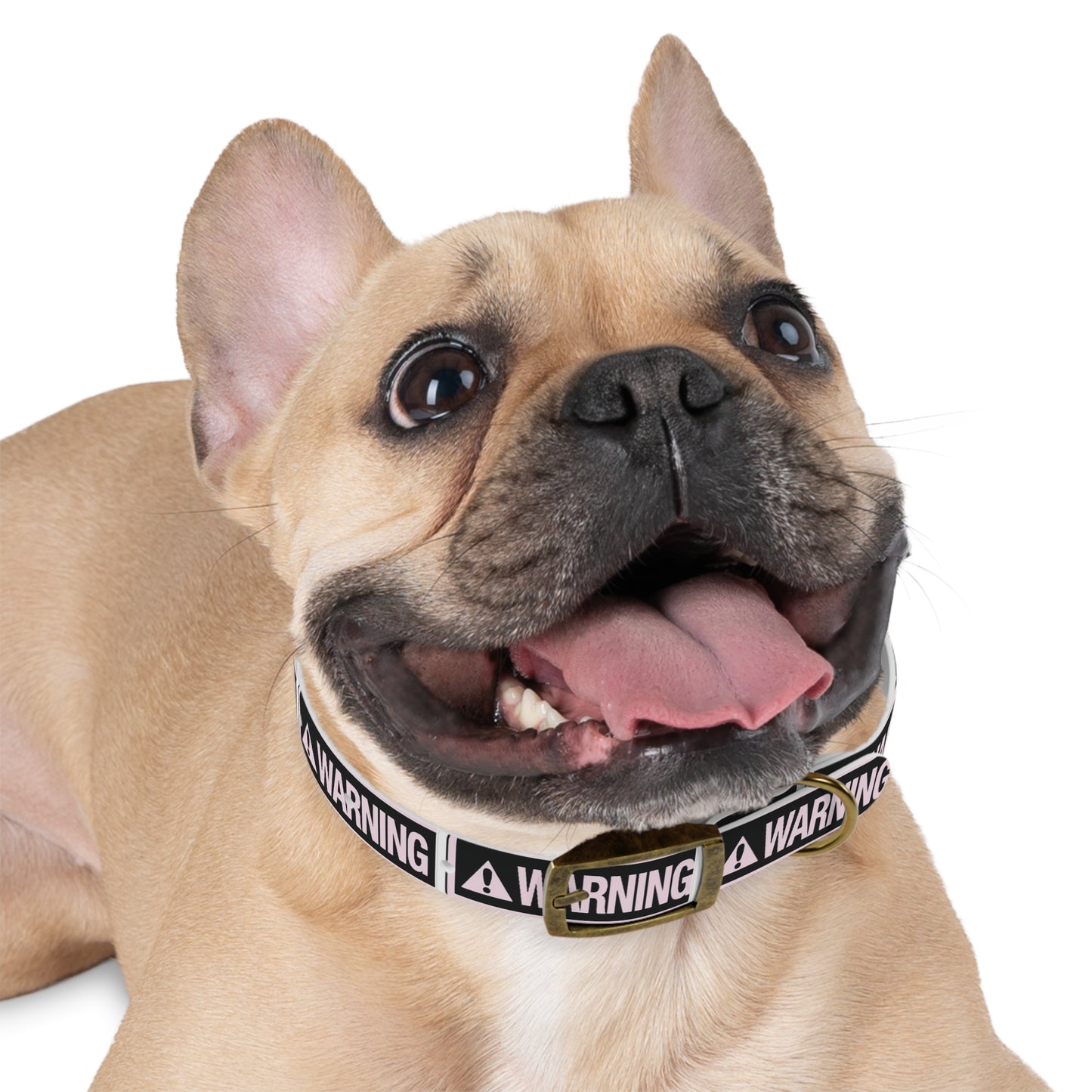 Warning Dog Collar - Stylish Pet Accessory, Dog Fashion, Personalized Gift, Pet Safety, Trendy Canine Gear