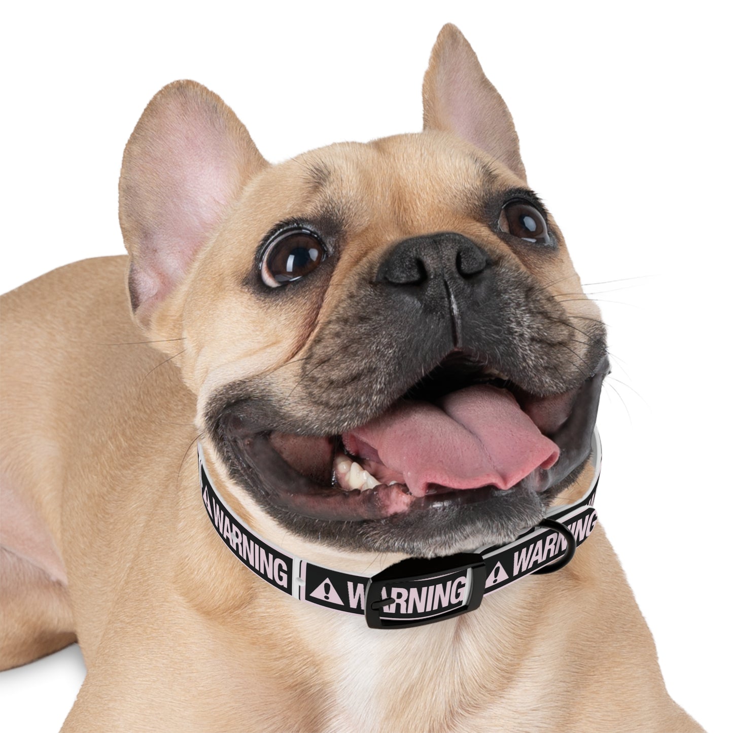 Warning Dog Collar - Stylish Pet Accessory, Dog Fashion, Personalized Gift, Pet Safety, Trendy Canine Gear