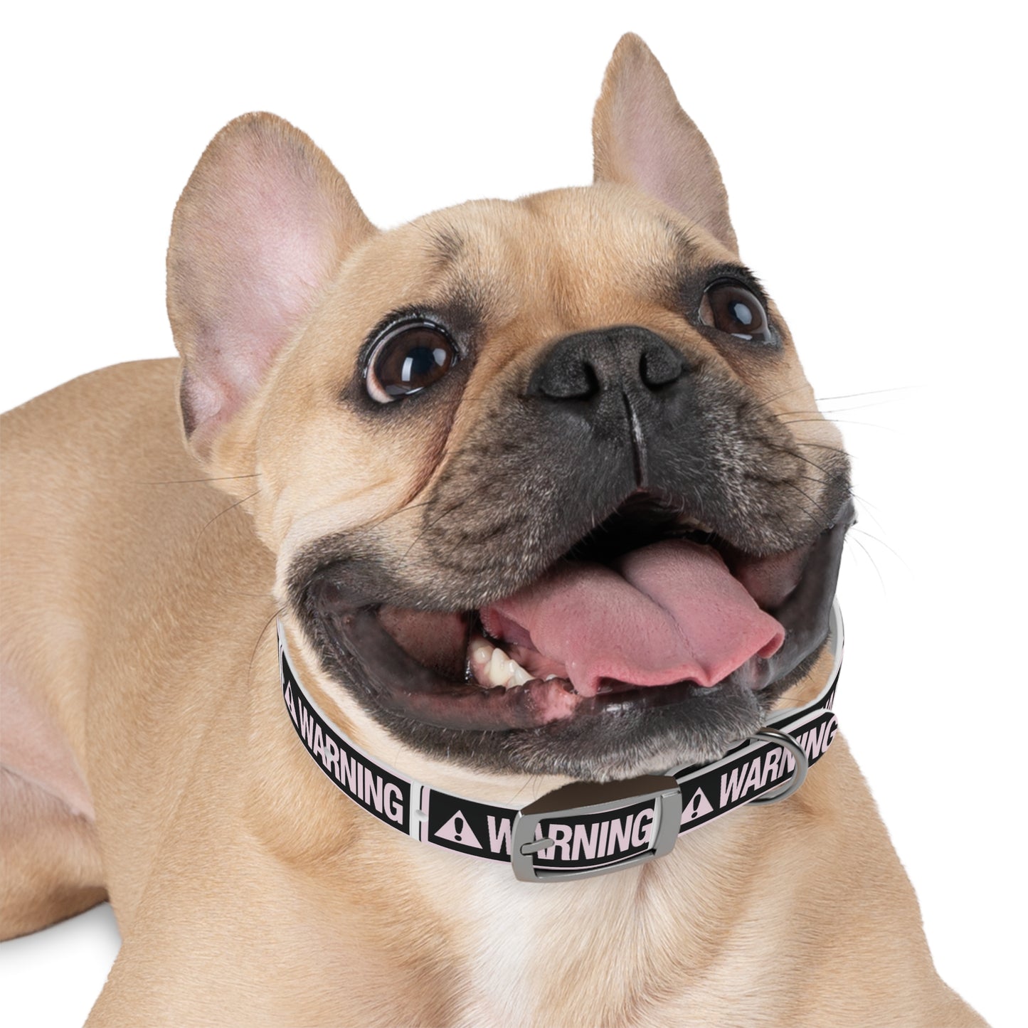 Warning Dog Collar - Stylish Pet Accessory, Dog Fashion, Personalized Gift, Pet Safety, Trendy Canine Gear